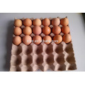 Single wall corrugated 30 egg cartons box for sale